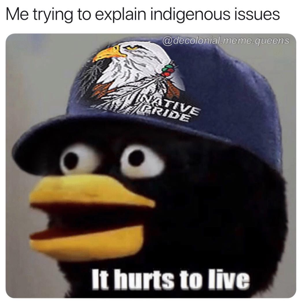 Just Some Fire Native Memes Imprint