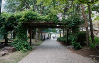 A brick pathway connects through a lush, green garden with a wooden pergola covered in ivy. Trees and shrubs line both sides of the path, embracing nature, and a small sign reads "Michael F. Kolb Grove." In the background, two people walk toward a building.