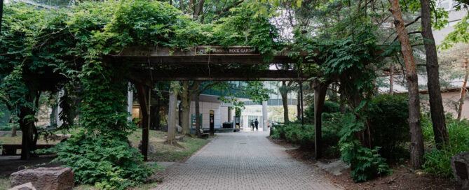 A brick pathway connects through a lush, green garden with a wooden pergola covered in ivy. Trees and shrubs line both sides of the path, embracing nature, and a small sign reads "Michael F. Kolb Grove." In the background, two people walk toward a building.