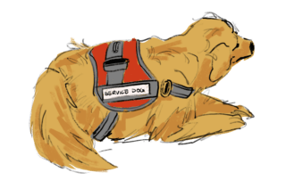 Illustration of a golden retriever service dog lying down, wearing a red harness labeled "Service Dog," symbolizing the commitment to an accessible campus where inclusive college environments thrive.