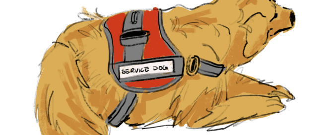 Illustration of a golden retriever service dog lying down, wearing a red harness labeled "Service Dog," symbolizing the commitment to an accessible campus where inclusive college environments thrive.