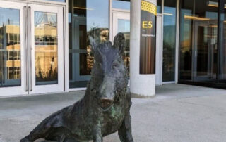 A bronze boar statue, reminiscent of UW's storied history and mascots, sits outside a modern building with large glass windows and doors. The structure boasts a sign labeled "E5" on a pillar next to the entrance, with the ground elegantly paved with concrete.