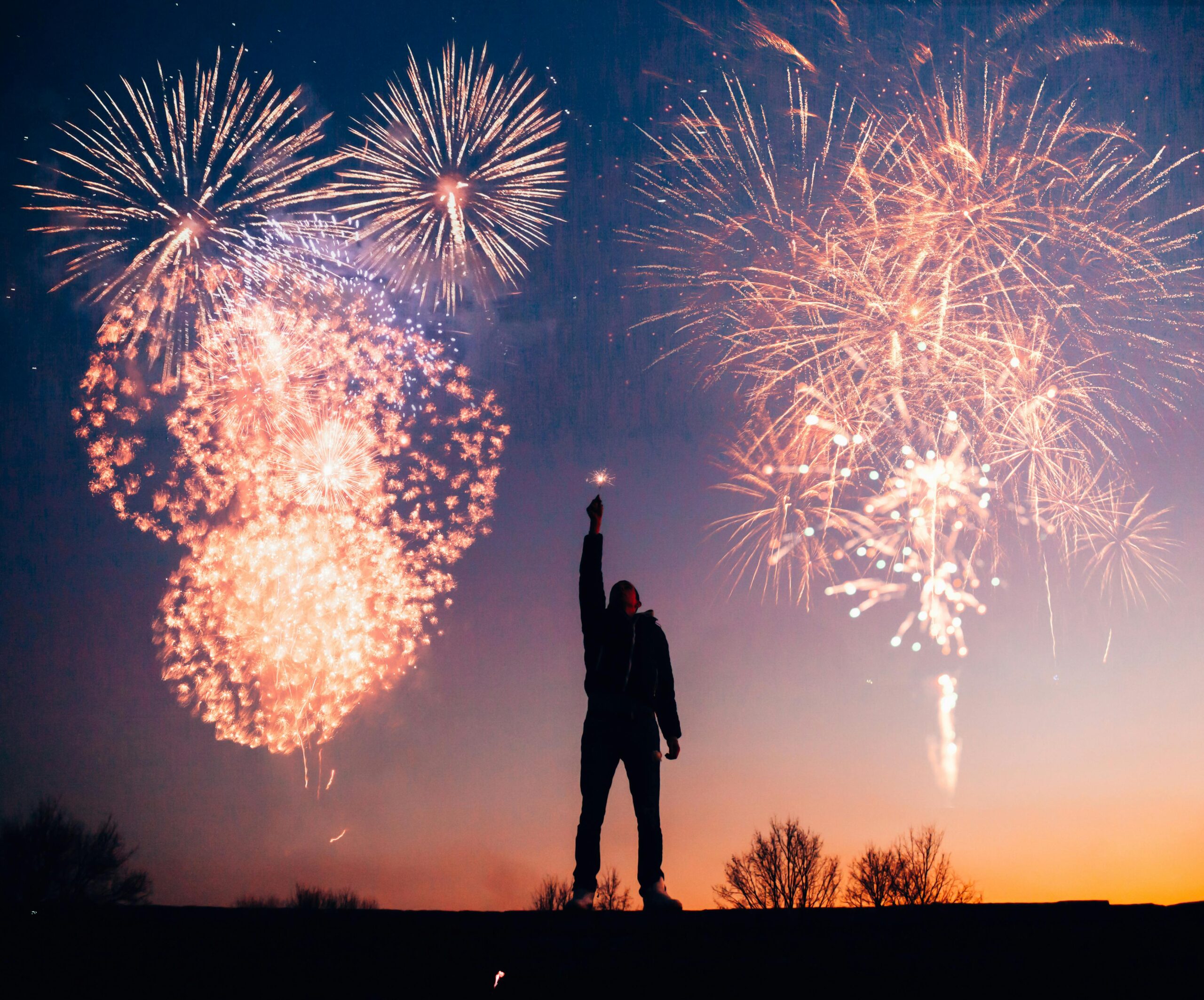 Silhouette of a person with an arm raised, standing against a backdrop of colorful fireworks illuminating the evening sky, celebrating achievable New Year's resolutions. The horizon glows with the fading light of sunset, and trees are visible in the distance as we step towards 2025.