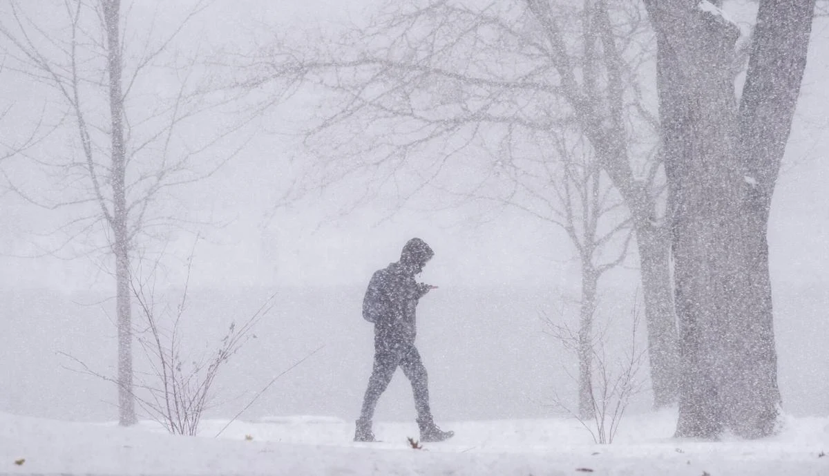 A person bundled in winter clothing, including a hood, braves the polar vortex as they walk through heavy snowfall. They glance at a phone in hand. Bare trees surround them, and the ground is covered in snow, creating a wintry scene.