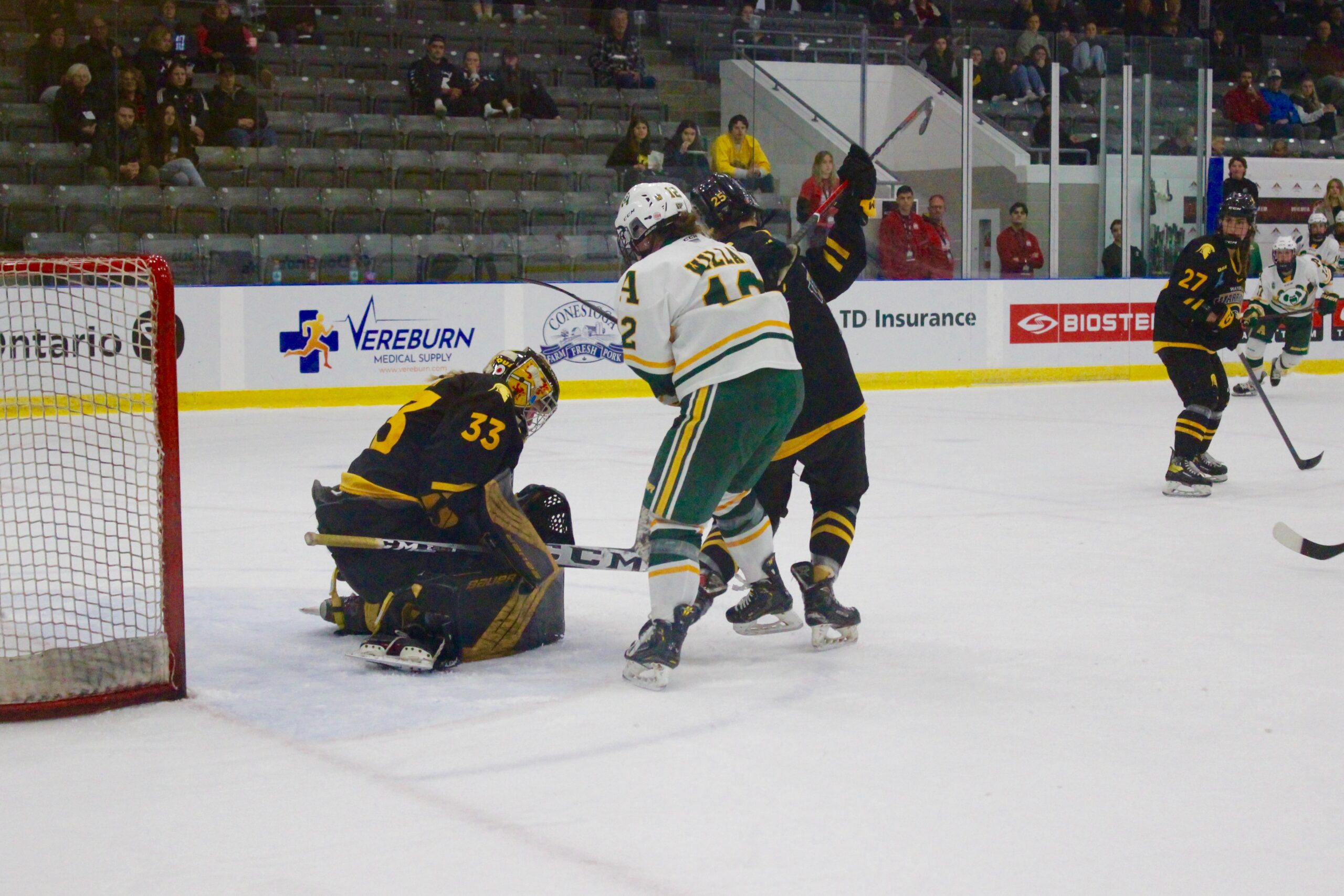 A hockey game in progress with players from opposing teams in action near the goal. A player in a green and white uniform attempts to score as the opposing team's goalie, in a dark uniform, prepares to block. Spectators watch from the stands.