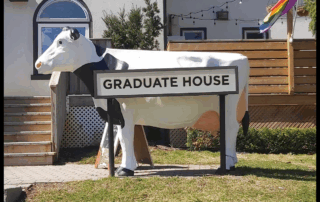 A large cow statue stands before The Grad House, a white building with its sign on the side. A rainbow pride flag waves beside the house, set against green grass and a clear sky.
