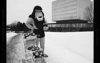 A person in a lion mascot costume stands in the snow next to a stroller filled with lion merchandise, with a modern glass building in the background.