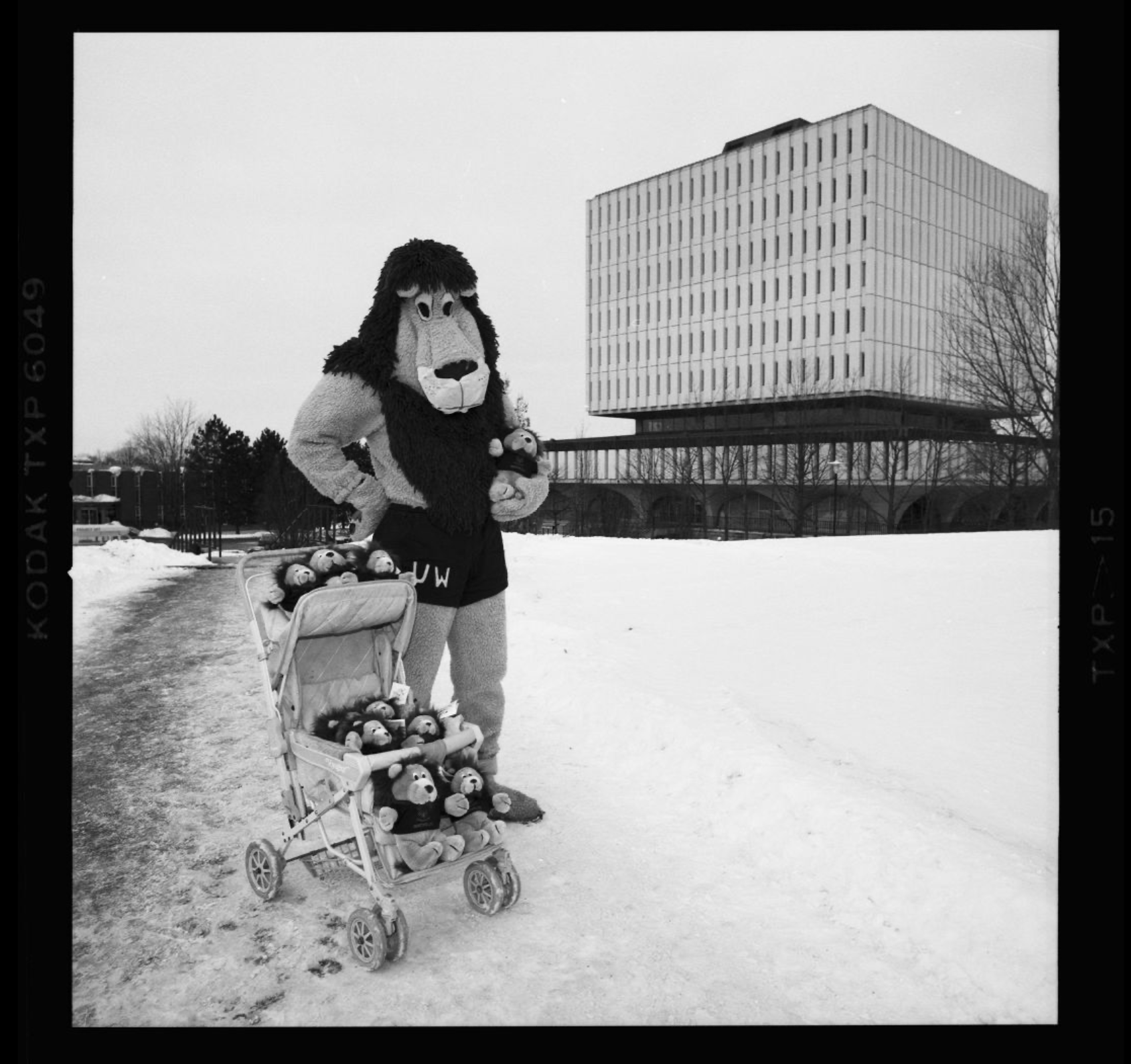A person in a lion mascot costume stands in the snow next to a stroller filled with lion merchandise, with a modern glass building in the background.