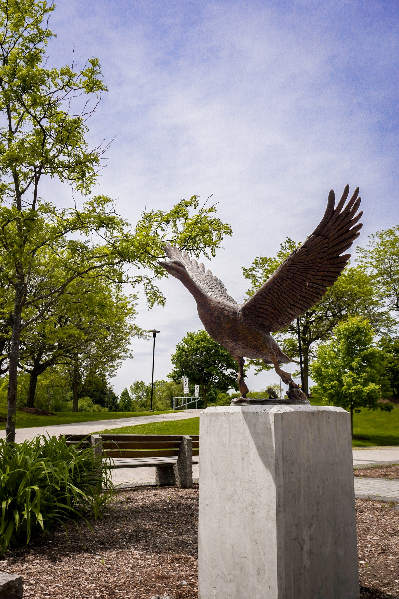 A bronze eagle sculpture with wings spread stands on a concrete pedestal near benches and leafy trees under a blue sky, adding to the impressive sculptures displayed throughout the campus park setting.