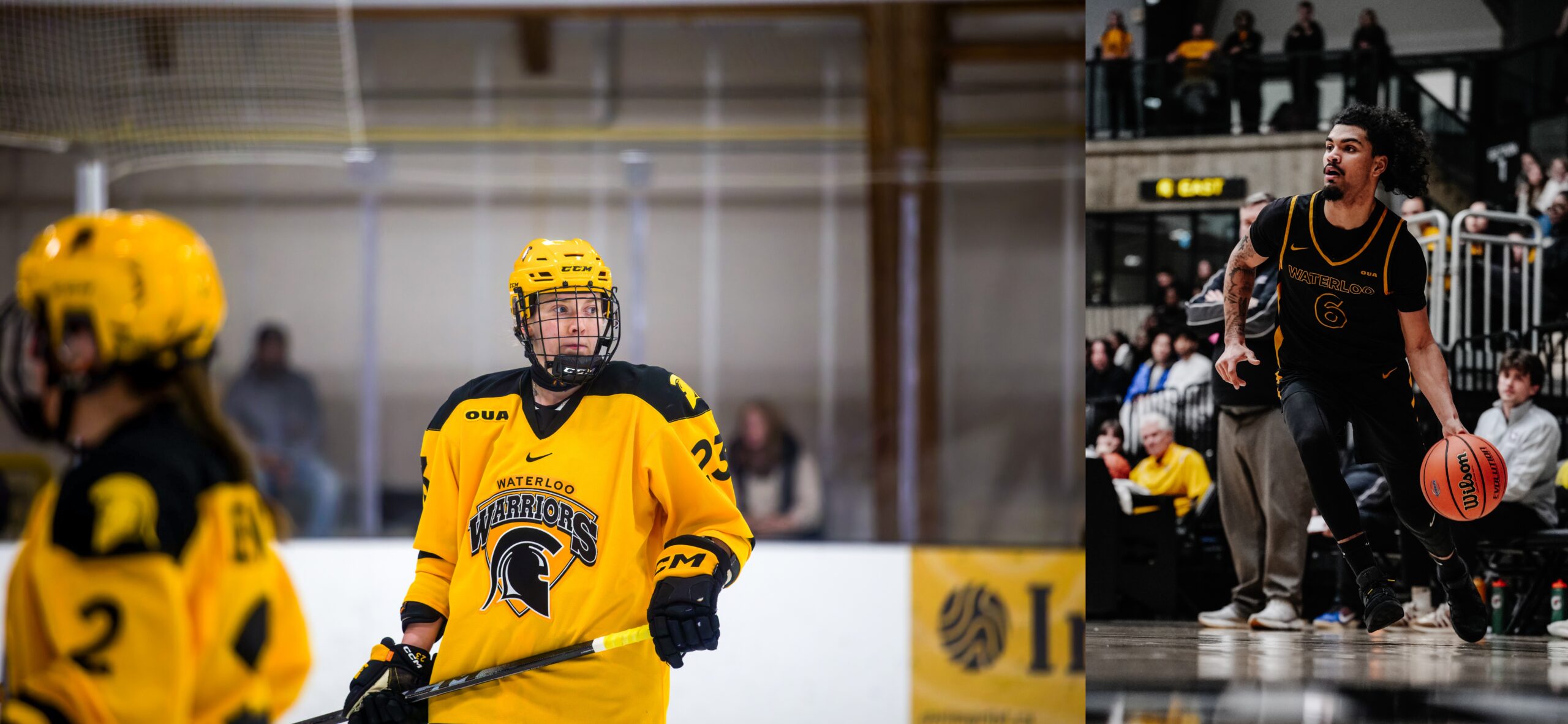 A hockey player in yellow Waterloo Warriors gear stands on the ice, while a basketball player in a black Waterloo Warriors uniform dribbles the ball on court in front of a crowd.